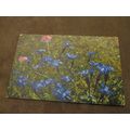 1913 fr Photochromie Postcard - Wild Alpine Flo...