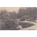 ED 376 BATH - VICTORIA PARK. PRINTED POSTCARD
