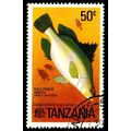 Africa Tanzania 1977 Fish 50c Used Stamp Nile P...