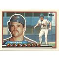 HOWARD JOHNSON NEW YORK METS #208 - TOPPS BIG 1989