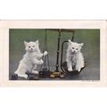 Try Your Weight Cats With Scales Antique Kitten...