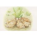 The Tale Of The Flopsy Bunnies Overeating 1909 ...