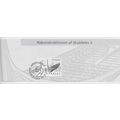 DENMARK DANMARK 2004 VIKING SHIPS CONSTRUCTION ...