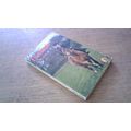 Flambards. K.M.Peyton (TV Tie-In Paperback) VIN...