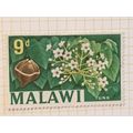 Malawi Queen Elizabeth II 1966 9d Tung Tree Use...