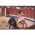Spain Postcard - Bullfight