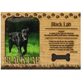 Black Lab Engraved Wood Picture Frame Magnet