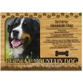 Bernese Mountain Dog Engraved Wood Picture Fram...