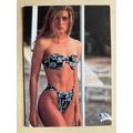 Ujena Swimwear Illustrated 1993 Edition Base tr...