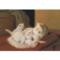 The New Litter Arthur Heyer Cat Kitten Medici P...