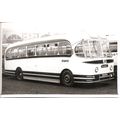 Black & White Photograph of A. Timpson & Sons L...