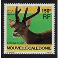 New Caledonia Timor Deer Wild Animal Bourail Fa...