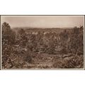 Barossa Common, Camberley, Surrey, c.1940 - RP ...