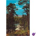 Vintage NPO Dexter Postcard - Tummel River, Per...