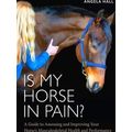 Is My Horse in Pain?