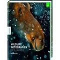 Wildlife Fotografien Des Jahres - Portfolio 30