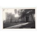 Mamhead Park Devon RP Postcard Publisher Chapma...