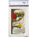 vintage greetings Postcard - Hearty Birthday Wi...