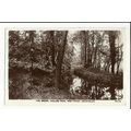Yorkshire HEADINGLEY Hollies Park Brook Postcar...