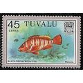 1979/1981 SG 117b - MNH (**) - FISH