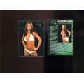 LAURA DAVIS 2005 BENCH WARMER SMOKING HOT Card ...
