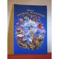 DISNEY'S ANIMAL KINGDOM, FLORIDA, US unused pos...