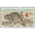 CZECHOSLOVAKIA, MAMMAL, Beaver, Castor Fiber, b...