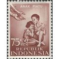 INDONESIA, Indonesian Orphans Welfare Fund, bro...