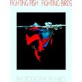 Fighting Fish/Fighting Birds
