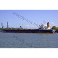 SQ1631 - Greek Bulk Carrier - Panoria - photogr...