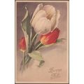 Bonne Fête - Tulipes, c.1950 - Coloprint CPSM