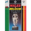 WALES v BELGIUM EUROPEAN CHAMPIONSHIP QUALIFIER...