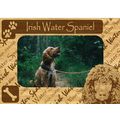 Irish Water Spaniel w Paws Engraved Wood Pictur...