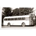 Black & White Photograph of Birch Brothers Ltd....