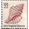 USA, MOLLUSCS, New England Neptune, white 1985,...
