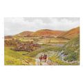 ARTIST DRAWN POSTCARD THE SOUTH DOWNS SUSSEX FR...