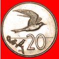 BIRD TERN: COOK ISLANDS ★ 20 CENTS 1974! UNCOMM...