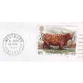 GB 1984 Highland Cow FU SG 1240 Westbury cancel...