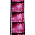 ALICE COOPER. Pk MTP - a007G . 1 STRIP OF 5 - 3...