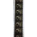 NOTORIOUS. Pk MTP - b027A. 1 STRIP OF 5 - 35MM ...