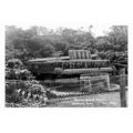 pt9500 - Floral Grand Piano , Bowling Park , Br...
