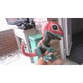 Fingerlings: T.Rex MUTANT Untamed Dinosaur (In ...