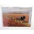 95th birthday card - For Your 95th Birthday