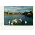 INVERNESS Swans Postcard by J. Arthur Dixon (38...