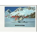 Aviation SKI PLANE (New Zealand) Postcard by Ti...