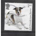 2024 Dogs - Jack Russel type Terrier- used
