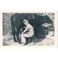 The Nostalgia Postcard 1890's - 1950's - Land G...