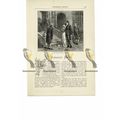 Burghley House, Homecoming 1793, Northants, Boo...