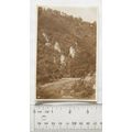 vintage postcard Dovedale, Derbyshire