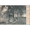 Terrasse de la Cathédrale, Lausanne, 1904 - Cor...
